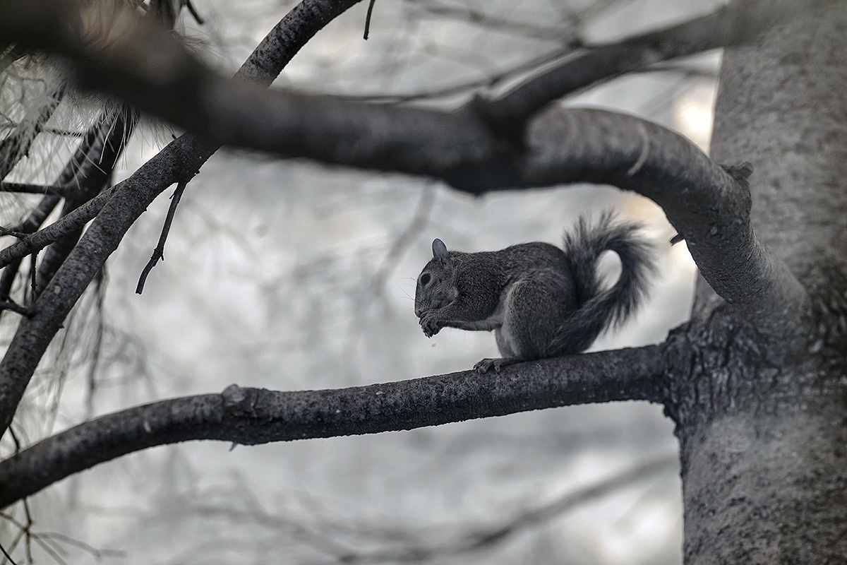 Yong & Carol – 05/06/2015. Emin Kuliyev — Award-Winning Wedding Photojournalist NYC & USA | Best Wedding Photographer Known for Candid, Timeless Moments