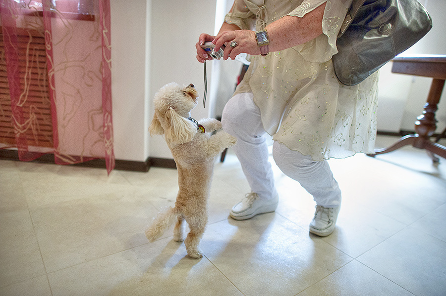 Ksenia & Artem  – Yaroslavl (Russia) 14.07.12. Emin Kuliyev — Award-Winning Wedding Photojournalist NYC & USA | Best Wedding Photographer Known for Candid, Timeless Moments