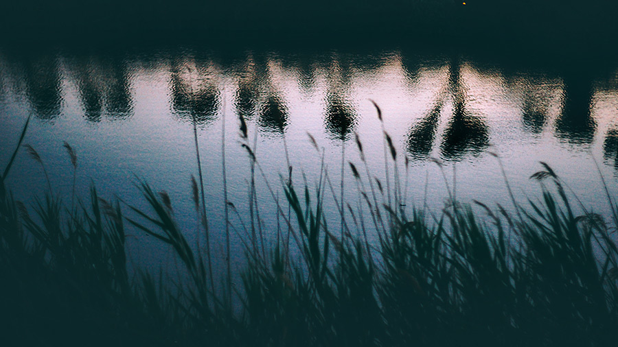 Yulia & Slava wedding (Le Mas de la Fouque ,France) – 6.14.2014 (Day T. Emin Kuliyev — Award-Winning Wedding Photojournalist NYC & USA | Best Wedding Photographer Known for Candid, Timeless Moments