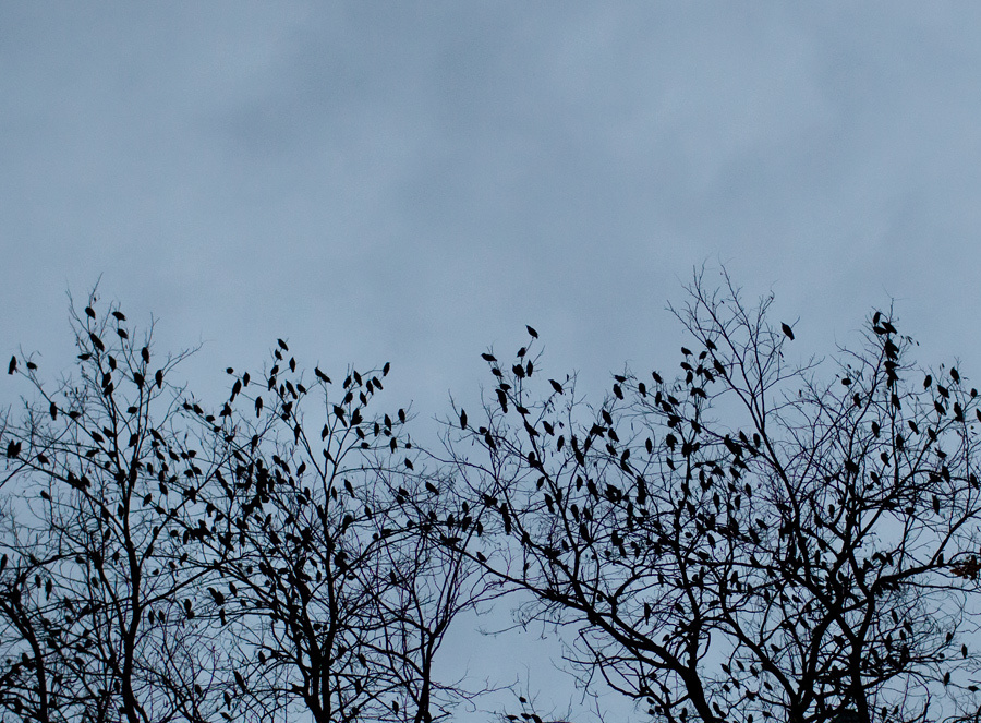 Katya & Maxim – 11-21-2011. Emin Kuliyev — Award-Winning Wedding Photojournalist NYC & USA | Best Wedding Photographer Known for Candid, Timeless Moments