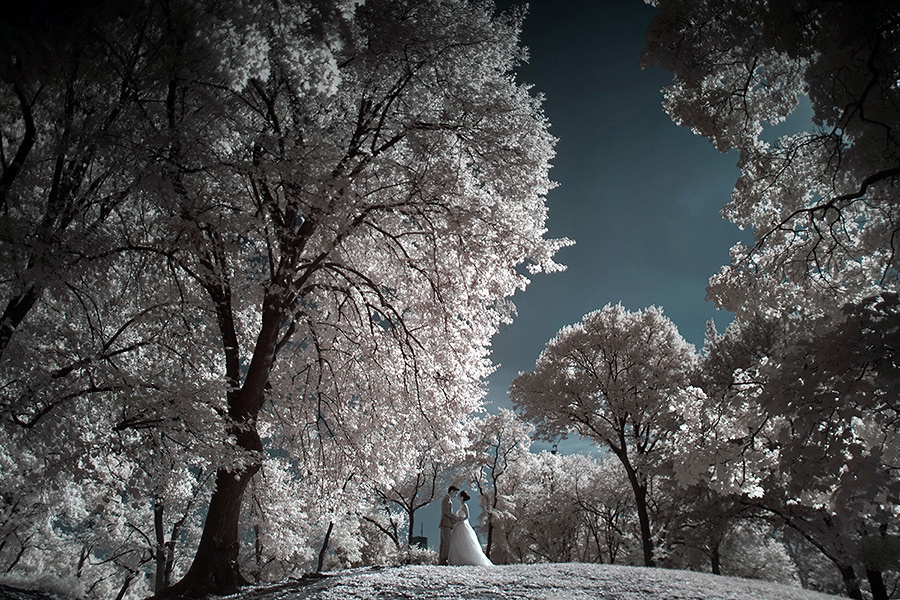 Siyuan & Fangyu – 10/3/2014. Emin Kuliyev — Award-Winning Wedding Photojournalist NYC & USA | Best Wedding Photographer Known for Candid, Timeless Moments