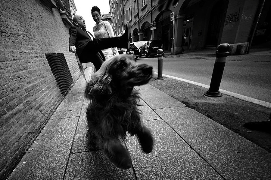 My Wedding Photography Workshop in Bologna (Italy) – Convention 2015 (. Emin Kuliyev — Award-Winning Wedding Photojournalist NYC & USA | Best Wedding Photographer Known for Candid, Timeless Moments