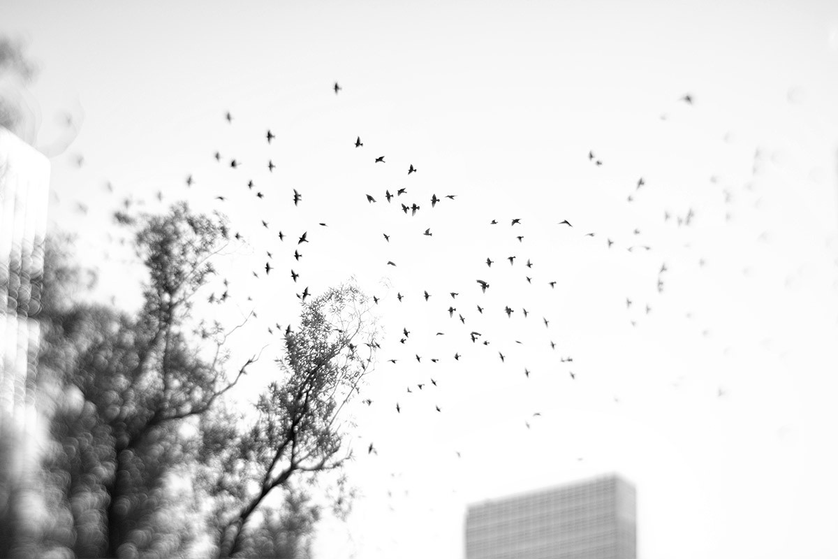 Selina & Enming  – 10.18.15. Emin Kuliyev — Award-Winning Wedding Photojournalist NYC & USA | Best Wedding Photographer Known for Candid, Timeless Moments