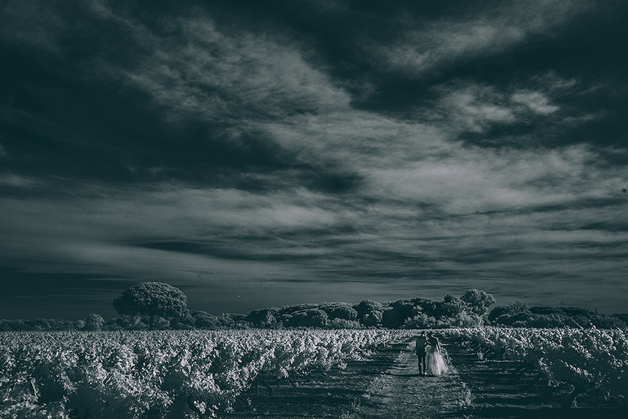 Yulia & Slava wedding (Le Mas de la Fouque ,France) – 6.14.2014 (Day T. Emin Kuliyev — Award-Winning Wedding Photojournalist NYC & USA | Best Wedding Photographer Known for Candid, Timeless Moments