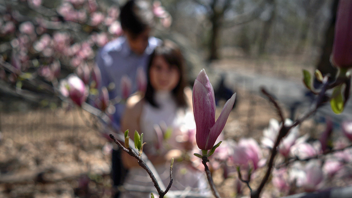 Roxana & Ruslan – 4.22.2018. Emin Kuliyev — Award-Winning Wedding Photojournalist NYC & USA | Best Wedding Photographer Known for Candid, Timeless Moments