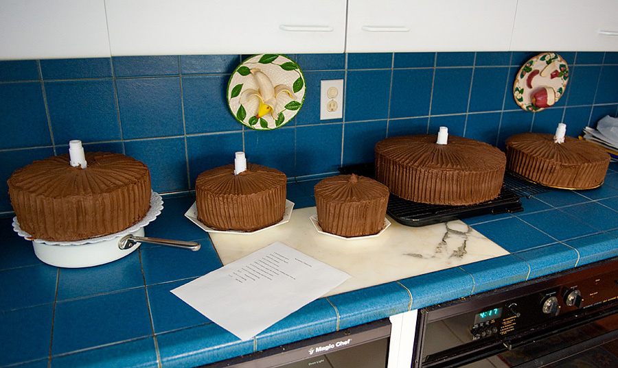 Erica & Devin – Wedding (June 6,2009). Emin Kuliyev — Award-Winning Wedding Photojournalist NYC & USA | Best Wedding Photographer Known for Candid, Timeless Moments