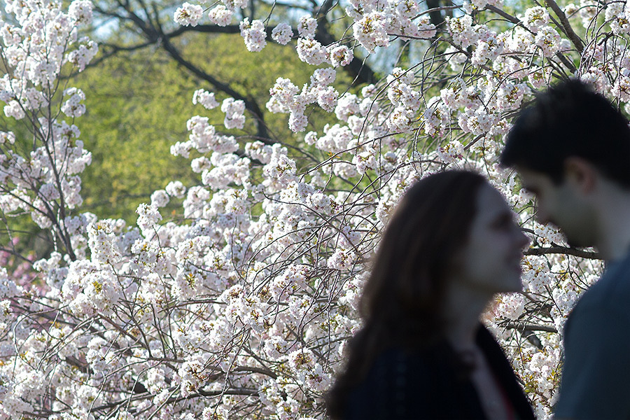 Melissa & Emad – E-Session (April, 27th, 2013). Emin Kuliyev — Award-Winning Wedding Photojournalist NYC & USA | Best Wedding Photographer Known for Candid, Timeless Moments