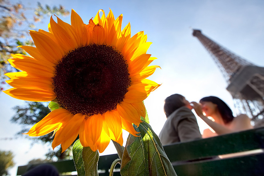 Masha & Andrey – October 3rd, 2009 – Paris (France). Emin Kuliyev — Award-Winning Wedding Photojournalist NYC & USA | Best Wedding Photographer Known for Candid, Timeless Moments