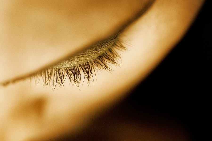Joy & Roy (Wedding) – October 8th,2011 – Washington. Emin Kuliyev — Award-Winning Wedding Photojournalist NYC & USA | Best Wedding Photographer Known for Candid, Timeless Moments