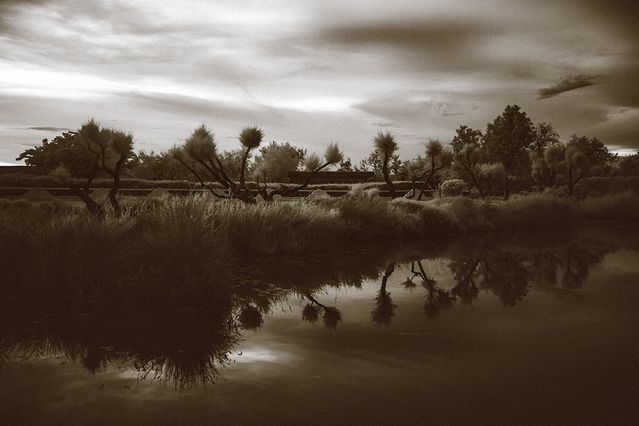 Yulia & Slava wedding (Le Mas de la Fouque ,France) – 6.13.2014 (Day o. Emin Kuliyev — Award-Winning Wedding Photojournalist NYC & USA | Best Wedding Photographer Known for Candid, Timeless Moments