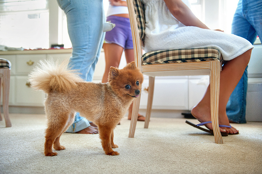 Michelle & Frank– May 19th,2012. Emin Kuliyev — Award-Winning Wedding Photojournalist NYC & USA | Best Wedding Photographer Known for Candid, Timeless Moments