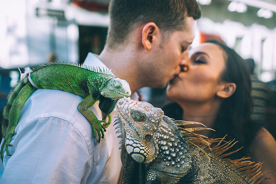 Joshua + Liane (San Juan) (Day 3) – 12/07/2014. Emin Kuliyev — Award-Winning Wedding Photojournalist NYC & USA | Best Wedding Photographer Known for Candid, Timeless Moments
