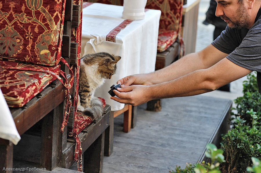My Wedding Photography Workshop in Turkey 17th-23rd November, 2013 – B. Emin Kuliyev — Award-Winning Wedding Photojournalist NYC & USA | Best Wedding Photographer Known for Candid, Timeless Moments
