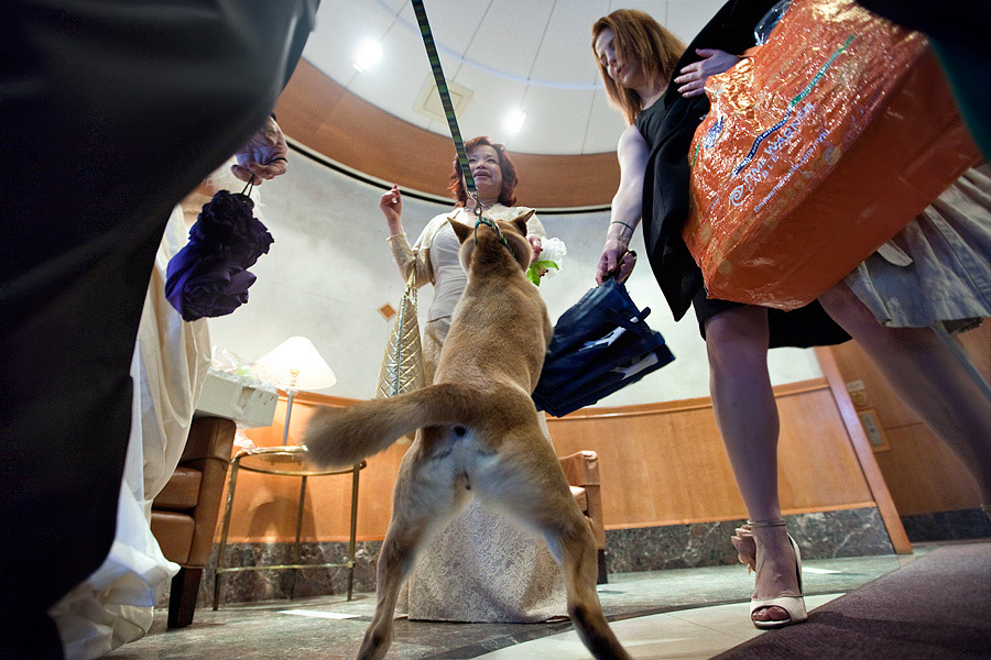 Connie & Bryan – Wedding March 14th, 2010. Emin Kuliyev — Award-Winning Wedding Photojournalist NYC & USA | Best Wedding Photographer Known for Candid, Timeless Moments