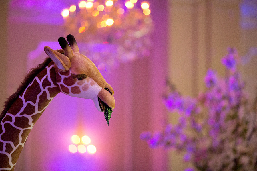 Christening – Francesca Rose & Anthony John – 04.07.2013. Emin Kuliyev — Award-Winning Wedding Photojournalist NYC & USA | Best Wedding Photographer Known for Candid, Timeless Moments