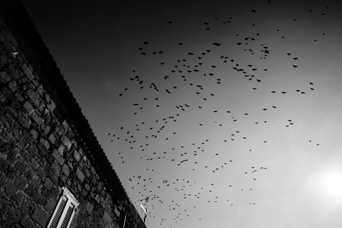 Alex & Kate – Italy (November 2015). Emin Kuliyev — Award-Winning Wedding Photojournalist NYC & USA | Best Wedding Photographer Known for Candid, Timeless Moments
