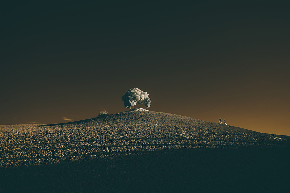 Alex & Kate – Italy (November 2015). Emin Kuliyev — Award-Winning Wedding Photojournalist NYC & USA | Best Wedding Photographer Known for Candid, Timeless Moments