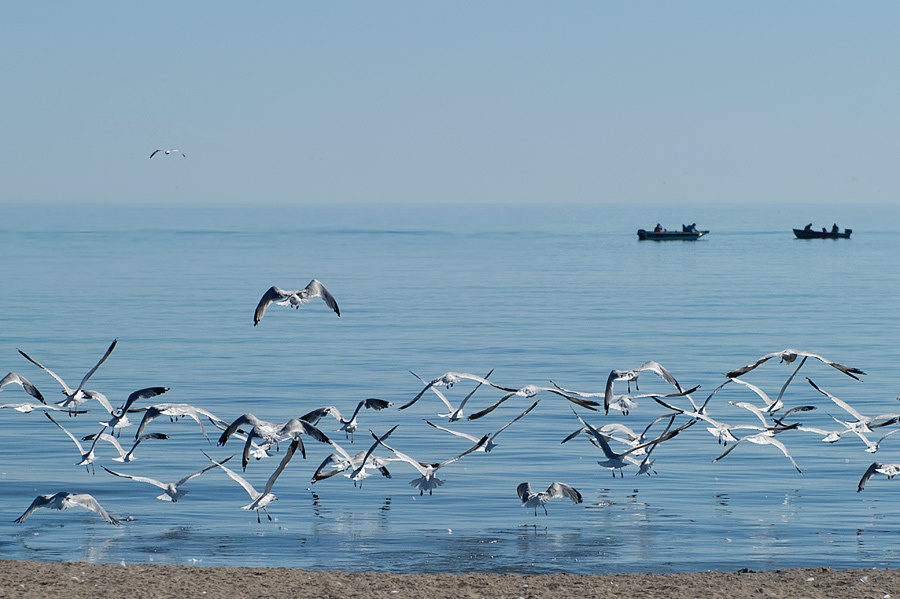 Natalie & Chris (Wedding) – (Day two) – July 3rd,2011 – Kenosha (Wisco. Emin Kuliyev — Award-Winning Wedding Photojournalist NYC & USA | Best Wedding Photographer Known for Candid, Timeless Moments