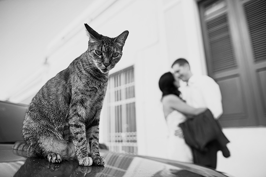 Joshua + Liane (San Juan) (Day 3) – 12/07/2014. Emin Kuliyev — Award-Winning Wedding Photojournalist NYC & USA | Best Wedding Photographer Known for Candid, Timeless Moments