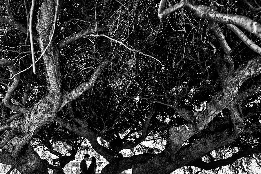 Melissa & Emad – E-Session (April, 27th, 2013). Emin Kuliyev — Award-Winning Wedding Photojournalist NYC & USA | Best Wedding Photographer Known for Candid, Timeless Moments