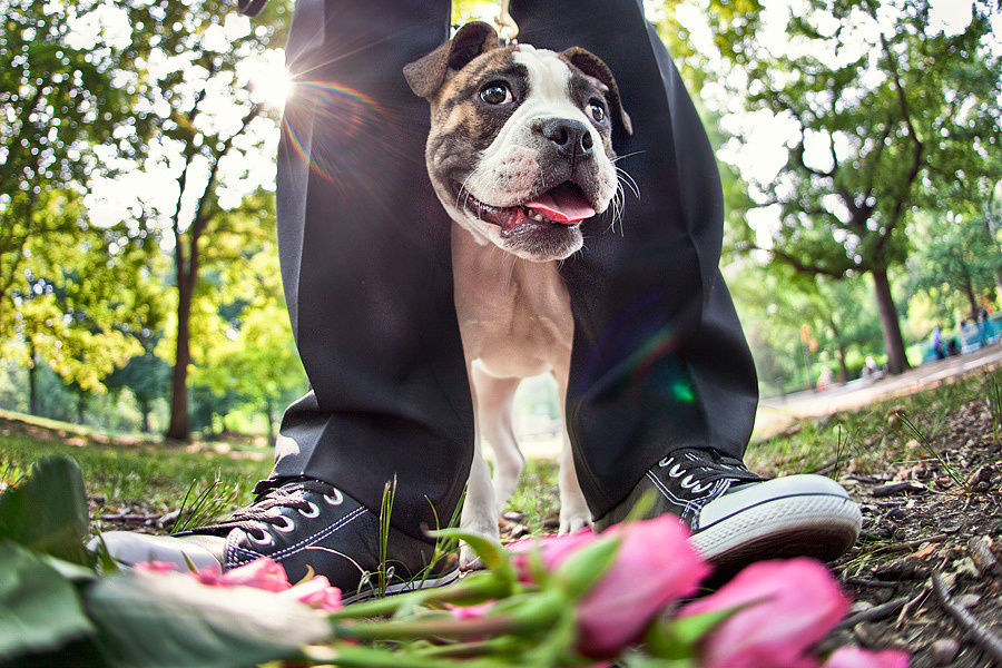 Edward & Stephanie – part I (06.25.2010). Emin Kuliyev — Award-Winning Wedding Photojournalist NYC & USA | Best Wedding Photographer Known for Candid, Timeless Moments