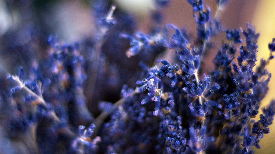 Yulia & Slava wedding (Le Mas de la Fouque ,France) – 6.14.2014 (Day T. Emin Kuliyev — Award-Winning Wedding Photojournalist NYC & USA | Best Wedding Photographer Known for Candid, Timeless Moments