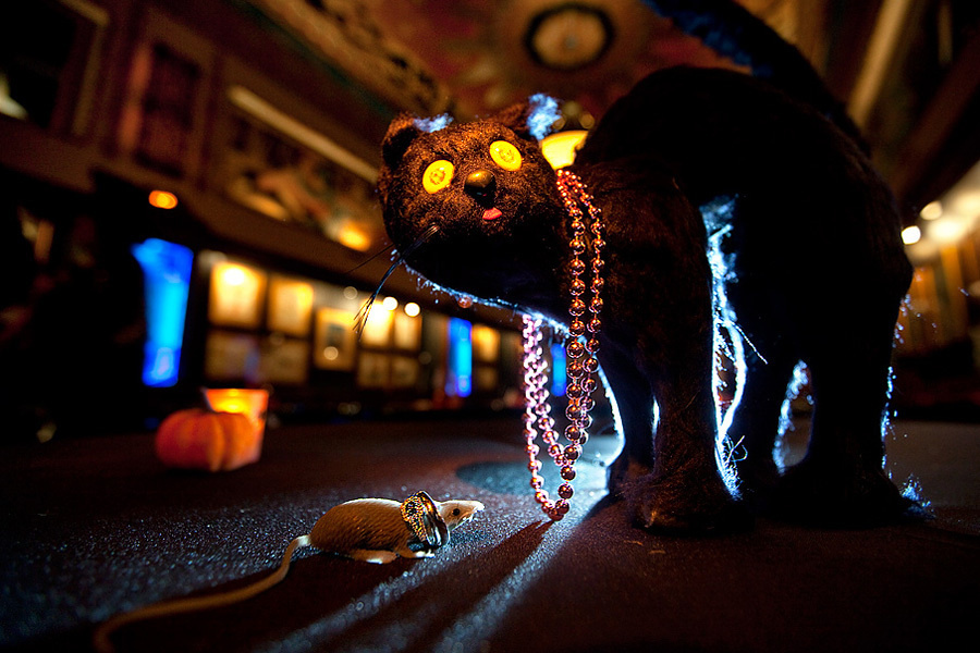 Rona & Charles (October 24, 2009) Halloween wedding – Saint Louis, Mis. Emin Kuliyev — Award-Winning Wedding Photojournalist NYC & USA | Best Wedding Photographer Known for Candid, Timeless Moments