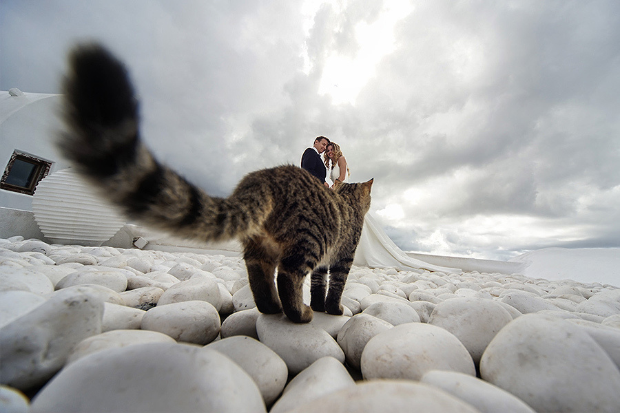 My Wedding Photography Workshop on Santorini –  November, 2014. Emin Kuliyev — Award-Winning Wedding Photojournalist NYC & USA | Best Wedding Photographer Known for Candid, Timeless Moments