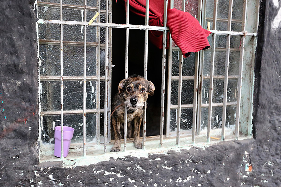 Wedding Brazil 2013 (21st – 25th April 2013). Emin Kuliyev — Award-Winning Wedding Photojournalist NYC & USA | Best Wedding Photographer Known for Candid, Timeless Moments