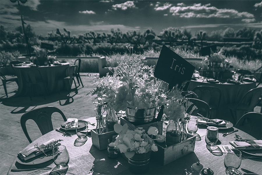 Yulia & Slava wedding (Le Mas de la Fouque ,France) – 6.14.2014 (Day T. Emin Kuliyev — Award-Winning Wedding Photojournalist NYC & USA | Best Wedding Photographer Known for Candid, Timeless Moments