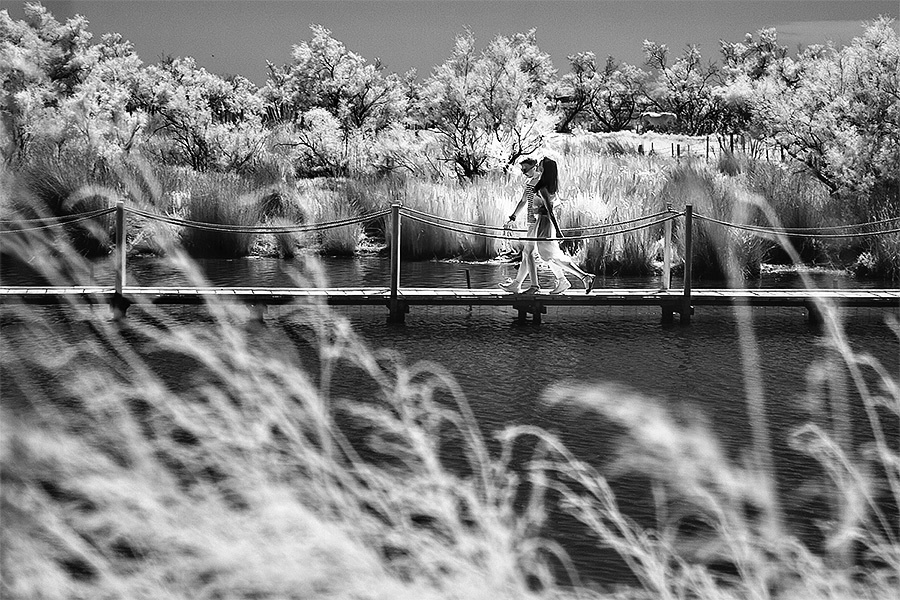 Yulia & Slava wedding (Le Mas de la Fouque ,France) – 6.13.2014 (Day o. Emin Kuliyev — Award-Winning Wedding Photojournalist NYC & USA | Best Wedding Photographer Known for Candid, Timeless Moments