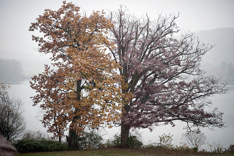 Alexa & Gregory – October 29th, 2011. Emin Kuliyev — Award-Winning Wedding Photojournalist NYC & USA | Best Wedding Photographer Known for Candid, Timeless Moments