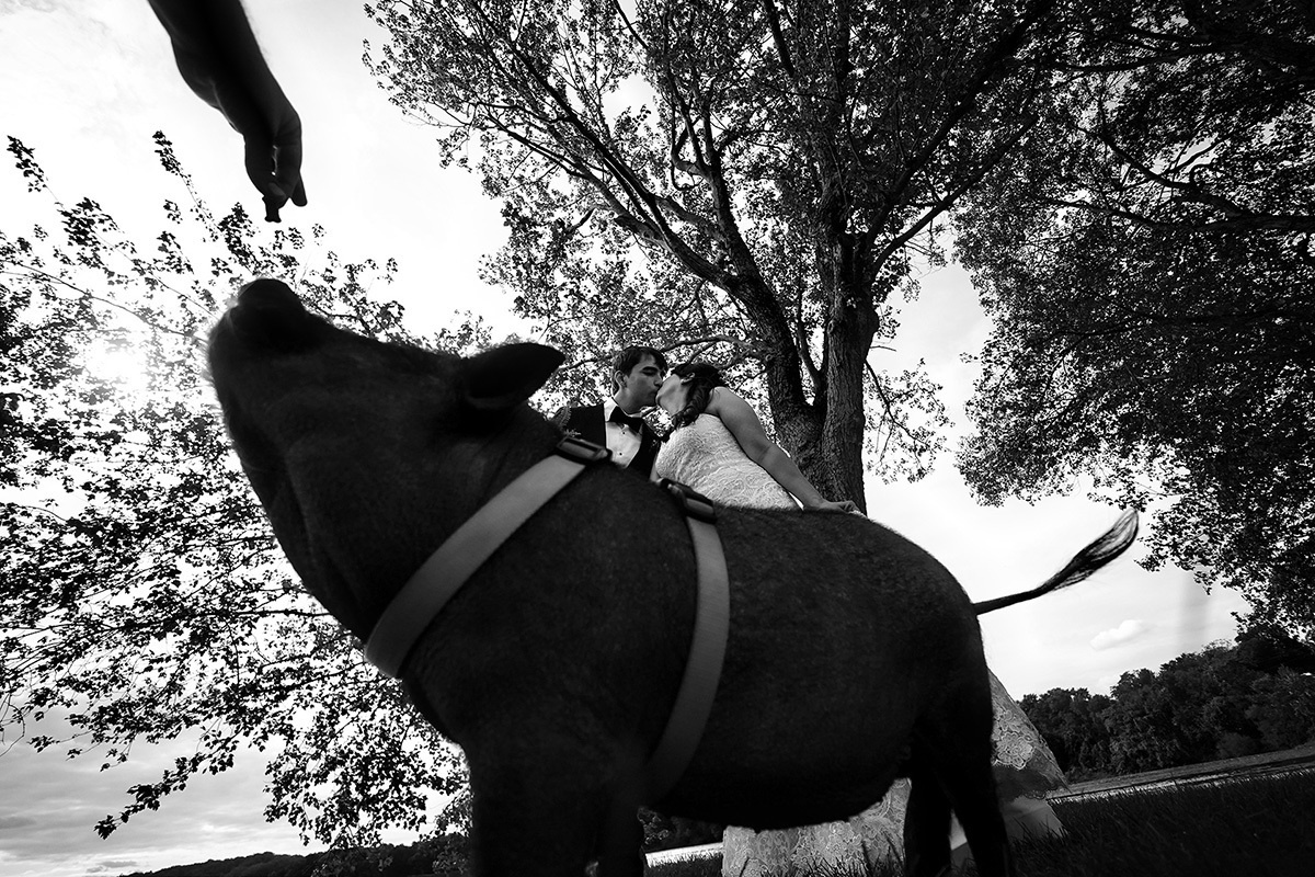 Roxana & Russ – 09.30/2018 – Indian Trail Club Wedding in Franklin Lak. Emin Kuliyev — Award-Winning Wedding Photojournalist NYC & USA | Best Wedding Photographer Known for Candid, Timeless Moments