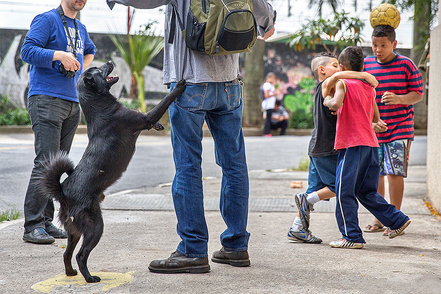 Wedding Brazil 2013 (21st – 25th April 2013). Emin Kuliyev — Award-Winning Wedding Photojournalist NYC & USA | Best Wedding Photographer Known for Candid, Timeless Moments