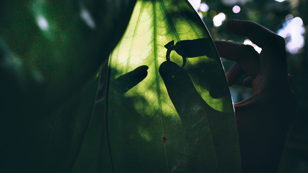 Don & Yarnell – 11/13/2016. Emin Kuliyev — Award-Winning Wedding Photojournalist NYC & USA | Best Wedding Photographer Known for Candid, Timeless Moments
