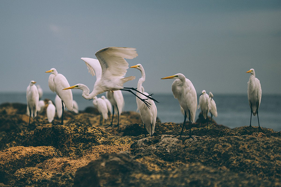 Cartagena (Colombia)  – Convención 2014 (August 25th-28th). Emin Kuliyev — Award-Winning Wedding Photojournalist NYC & USA | Best Wedding Photographer Known for Candid, Timeless Moments