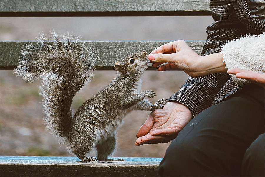 Pag & Ross (Day 2) – 04/08/2014. Emin Kuliyev — Award-Winning Wedding Photojournalist NYC & USA | Best Wedding Photographer Known for Candid, Timeless Moments