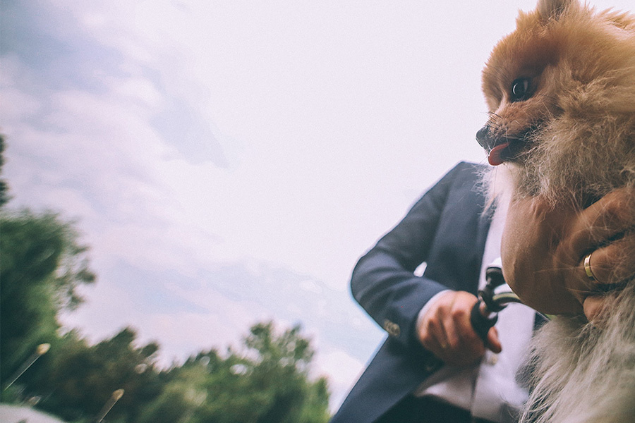 Krasnodar (Russia) – 2014 August (5-9). Emin Kuliyev — Award-Winning Wedding Photojournalist NYC & USA | Best Wedding Photographer Known for Candid, Timeless Moments