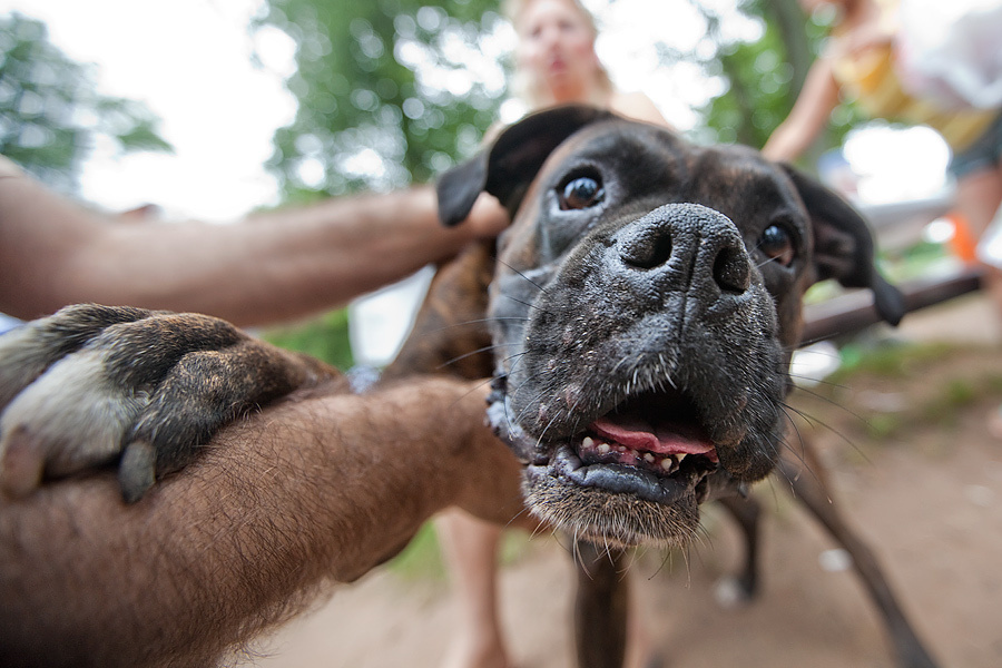 My family (Victoria’s Birthday) – July 11, 2009. Emin Kuliyev — Award-Winning Wedding Photojournalist NYC & USA | Best Wedding Photographer Known for Candid, Timeless Moments