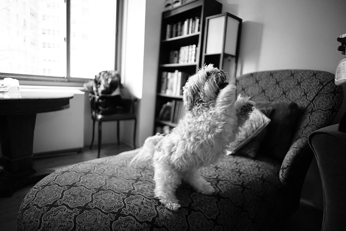 Derek & June – 3-28-2015. Emin Kuliyev — Award-Winning Wedding Photojournalist NYC & USA | Best Wedding Photographer Known for Candid, Timeless Moments