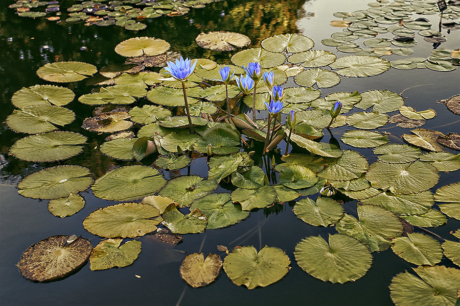 Emily & Kyle – (September 28th, 2013). Emin Kuliyev — Award-Winning Wedding Photojournalist NYC & USA | Best Wedding Photographer Known for Candid, Timeless Moments
