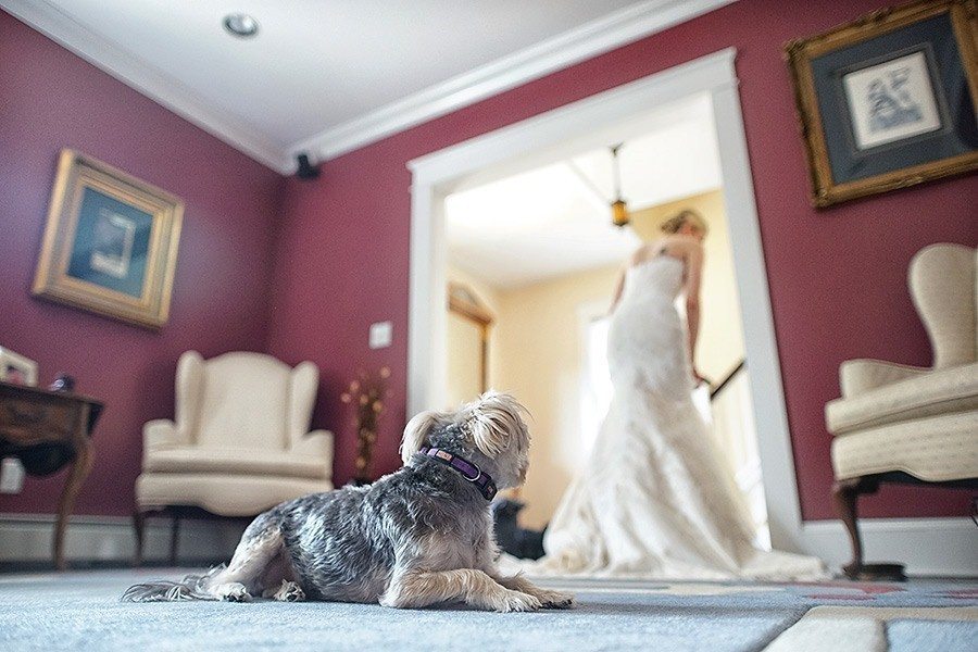 Michael & Marissa  – 9/19/2014. Emin Kuliyev — Award-Winning Wedding Photojournalist NYC & USA | Best Wedding Photographer Known for Candid, Timeless Moments