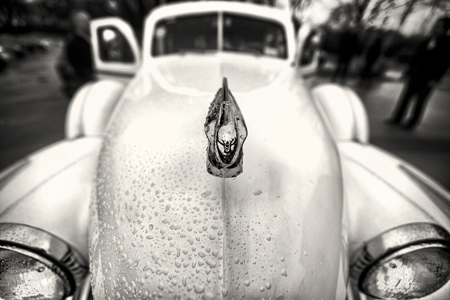 Connie & Bryan – Wedding March 14th, 2010. Emin Kuliyev — Award-Winning Wedding Photojournalist NYC & USA | Best Wedding Photographer Known for Candid, Timeless Moments
