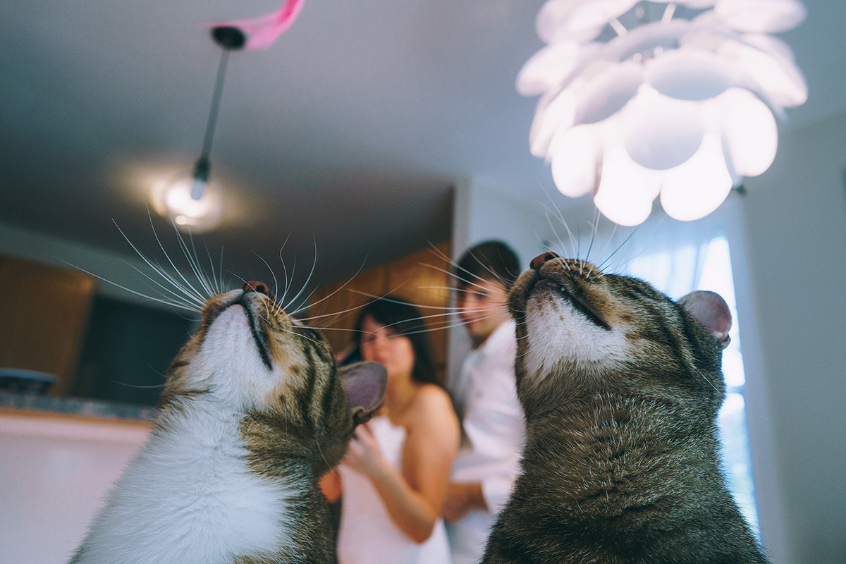 Roxana & Russ – 09.30/2018 – Indian Trail Club Wedding in Franklin Lak. Emin Kuliyev — Award-Winning Wedding Photojournalist NYC & USA | Best Wedding Photographer Known for Candid, Timeless Moments