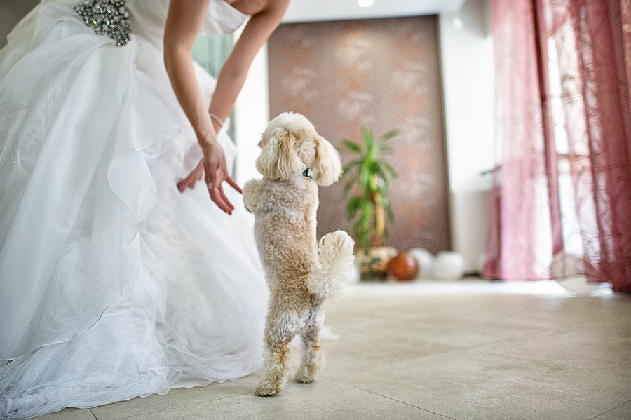 Ksenia & Artem  – Yaroslavl (Russia) 14.07.12. Emin Kuliyev — Award-Winning Wedding Photojournalist NYC & USA | Best Wedding Photographer Known for Candid, Timeless Moments