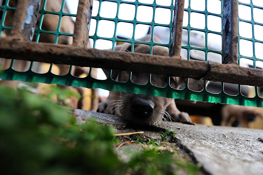 Wedding Brazil 2013 (21st – 25th April 2013). Emin Kuliyev — Award-Winning Wedding Photojournalist NYC & USA | Best Wedding Photographer Known for Candid, Timeless Moments