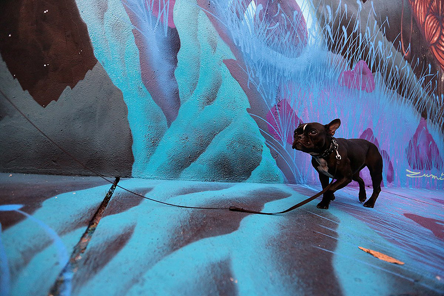 Wedding Brazil 2013 (21st – 25th April 2013). Emin Kuliyev — Award-Winning Wedding Photojournalist NYC & USA | Best Wedding Photographer Known for Candid, Timeless Moments