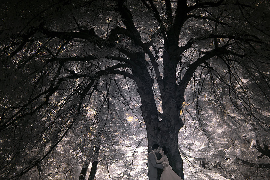 Siyuan & Fangyu – 10/3/2014. Emin Kuliyev — Award-Winning Wedding Photojournalist NYC & USA | Best Wedding Photographer Known for Candid, Timeless Moments