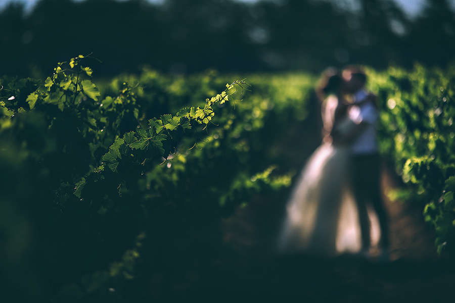 Yulia & Slava wedding (Le Mas de la Fouque ,France) – 6.14.2014 (Day T. Emin Kuliyev — Award-Winning Wedding Photojournalist NYC & USA | Best Wedding Photographer Known for Candid, Timeless Moments
