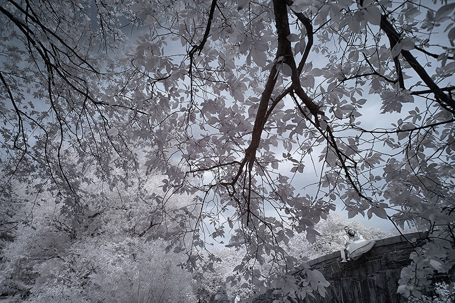 Yulia & Dima — June 23rd (New York). Emin Kuliyev — Award-Winning Wedding Photojournalist NYC & USA | Best Wedding Photographer Known for Candid, Timeless Moments